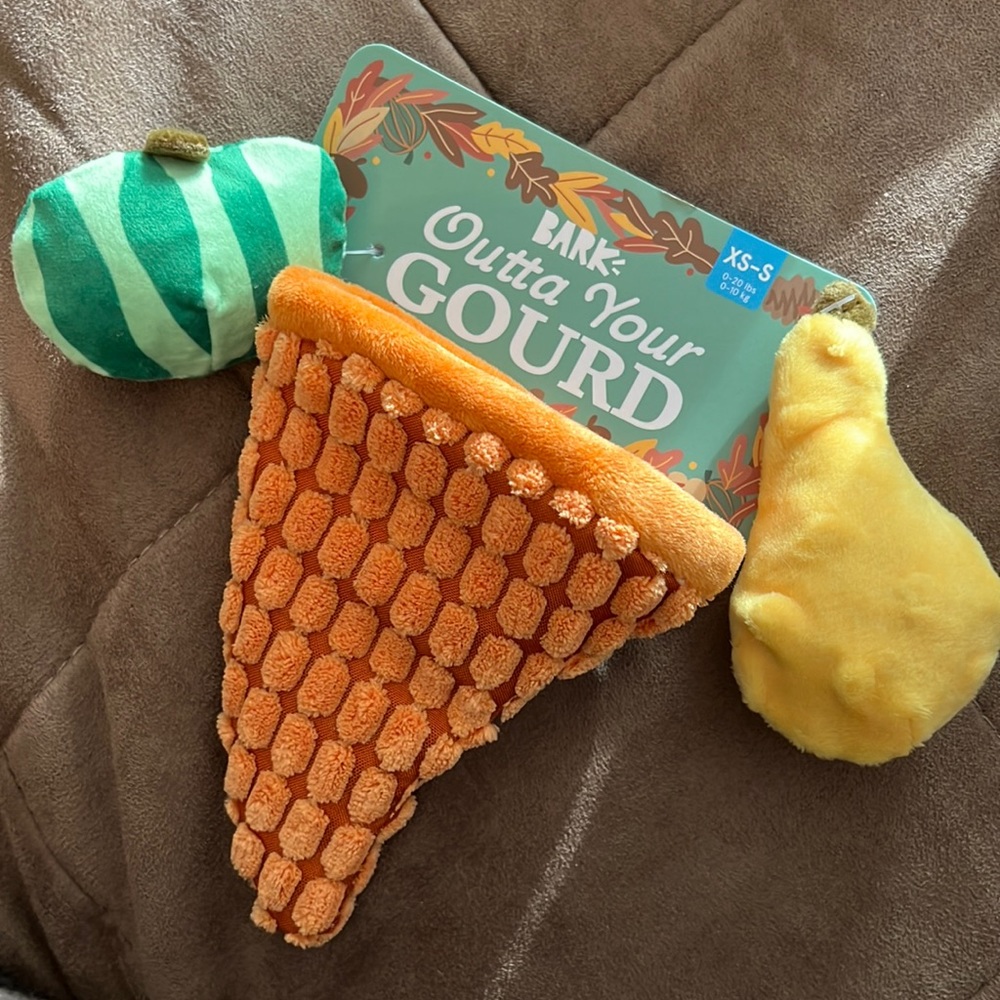 BarkBox Outta Your Gourd Dog Toy size XS-S Thanksgiving